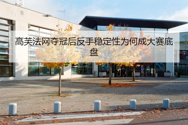 高芙法网夺冠后反手稳定性为何成大赛底盘