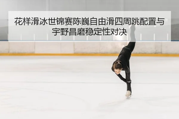 hua-yang-hua-bing-shi-jin-sai-chen-wei-zi-you-hua-si-zhou-tiao-pei-zhi-yu-yu-ye-chang-mo-wen-ding-xing-dui-jue-2-603.jpg