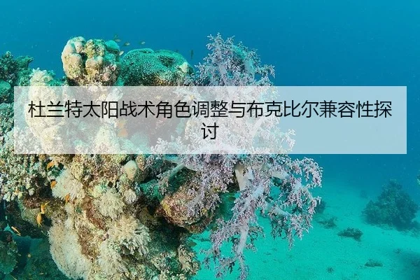 杜兰特太阳战术角色调整与布克比尔兼容性探讨