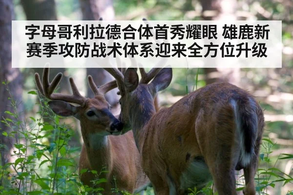 字母哥利拉德合体首秀耀眼 雄鹿新赛季攻防战术体系迎来全方位升级